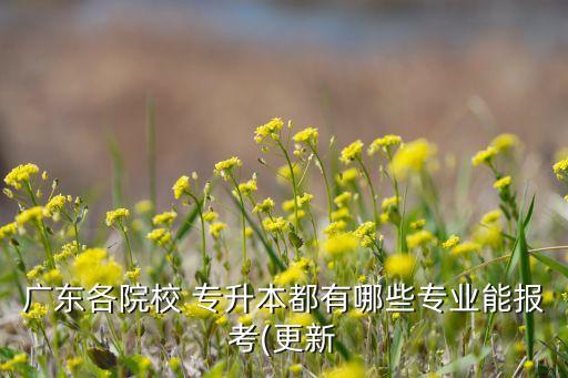 廣東各院校 專(zhuān)升本都有哪些專(zhuān)業(yè)能報(bào)考(更新