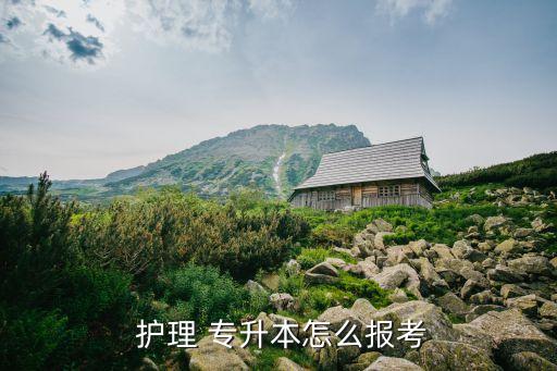  護理 專升本怎么報考