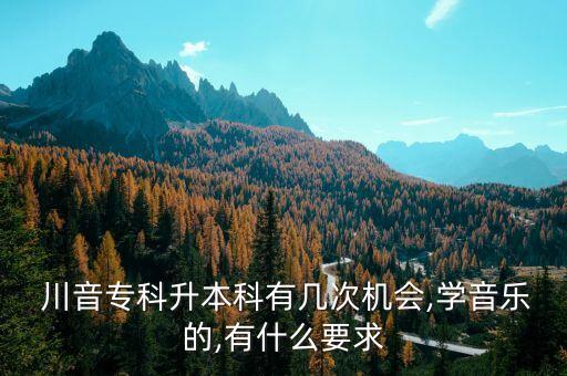  川音?？粕究朴袔状螜C會,學音樂的,有什么要求