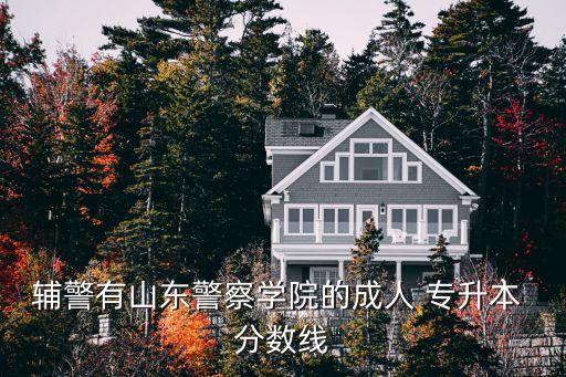 輔警有山東警察學(xué)院的成人 專(zhuān)升本 分?jǐn)?shù)線(xiàn)