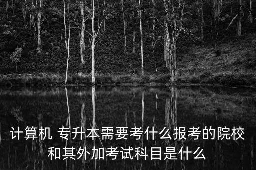 計算機 專升本需要考什么報考的院校和其外加考試科目是什么
