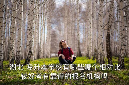  湖北 專升本學(xué)校有哪些哪個(gè)相對比較好考有靠譜的報(bào)名機(jī)構(gòu)嗎