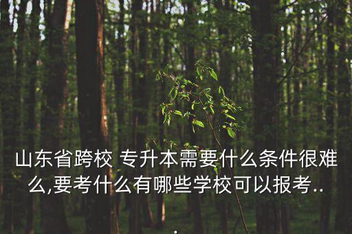山東省跨校 專升本需要什么條件很難么,要考什么有哪些學(xué)校可以報(bào)考...
