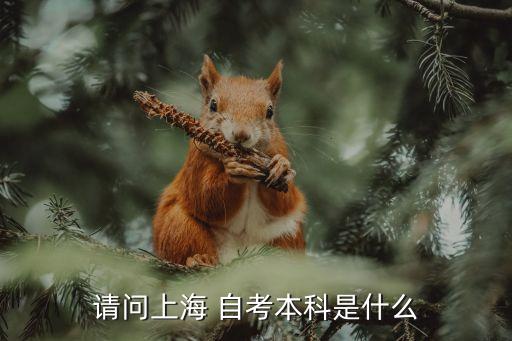 專升本自考上海財(cái)經(jīng)大學(xué),自考專升本上海