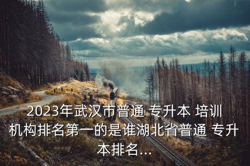 2023年武漢市普通 專升本 培訓機構排名第一的是誰湖北省普通 專升本排名...