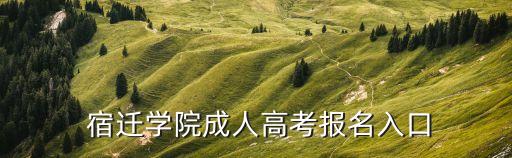 宿遷學(xué)院成人高考報(bào)名入口