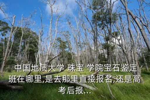  中國地質(zhì)大學(xué) 珠寶 學(xué)院寶石鑒定班在哪里,是去那里直接報(bào)名,還是高考后報(bào)...