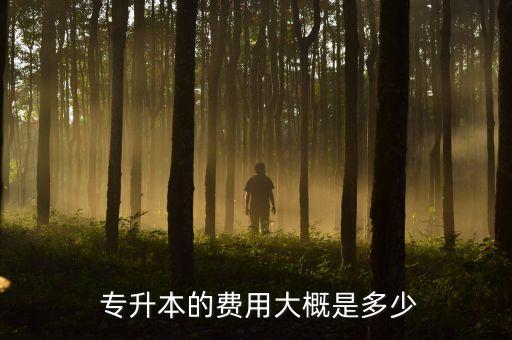  專升本的費用大概是多少