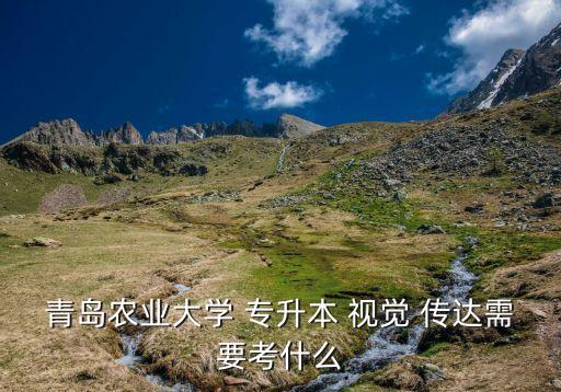 青島農業(yè)大學 專升本 視覺 傳達需要考什么