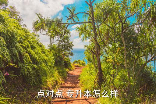 專(zhuān)升本輔導(dǎo)