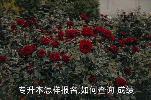  專升本怎樣報名,如何查詢 成績