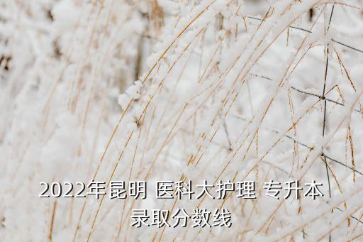 2022年昆明 醫(yī)科大護理 專升本錄取分數(shù)線