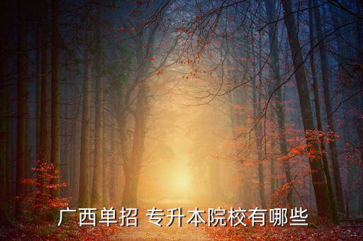  廣西單招 專(zhuān)升本院校有哪些