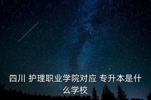四川 護理職業(yè)學院對應 專升本是什么學校