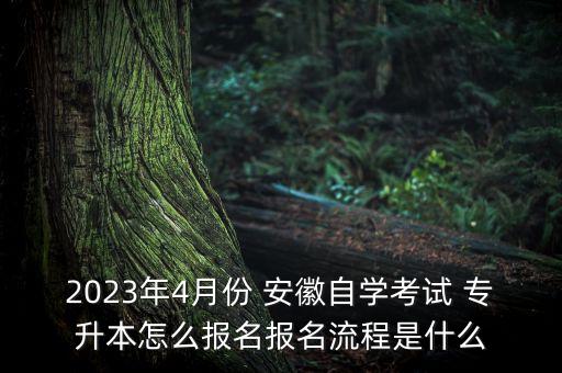 安徽招生網專升本,安徽專升本各校招生錄取比例