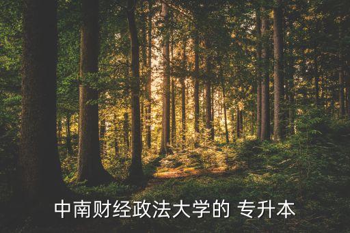 中南財經(jīng)政法大學(xué)的 專升本