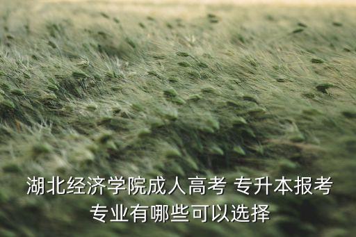  湖北經(jīng)濟學院成人高考 專升本報考 專業(yè)有哪些可以選擇