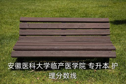 安徽醫(yī)科大學臨產(chǎn)醫(yī)學院 專升本 護理分數(shù)線