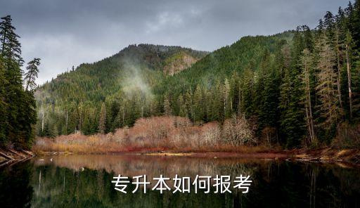  專升本如何報(bào)考