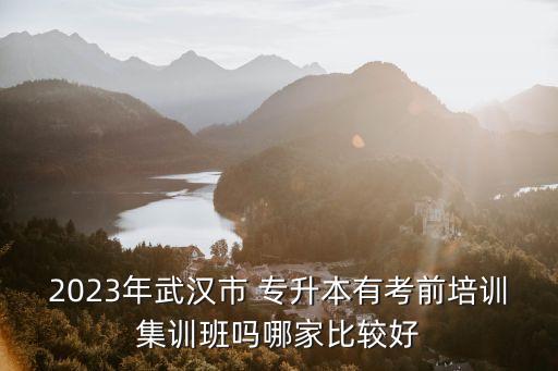 2023年武漢市 專升本有考前培訓集訓班嗎哪家比較好