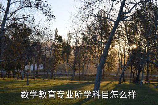 數(shù)學(xué)教育專(zhuān)業(yè)所學(xué)科目怎么樣