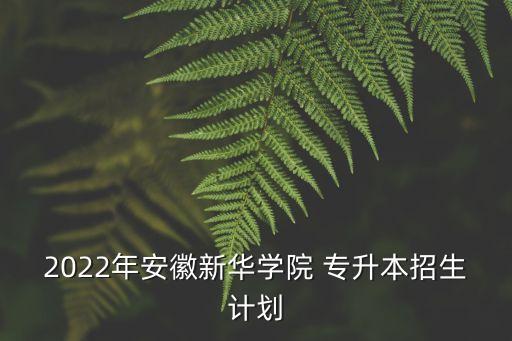 2022年安徽新華學(xué)院 專(zhuān)升本招生計(jì)劃