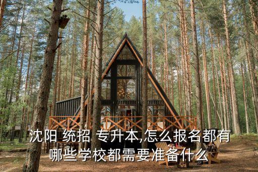  沈陽 統(tǒng)招 專升本,怎么報(bào)名都有哪些學(xué)校都需要準(zhǔn)備什么