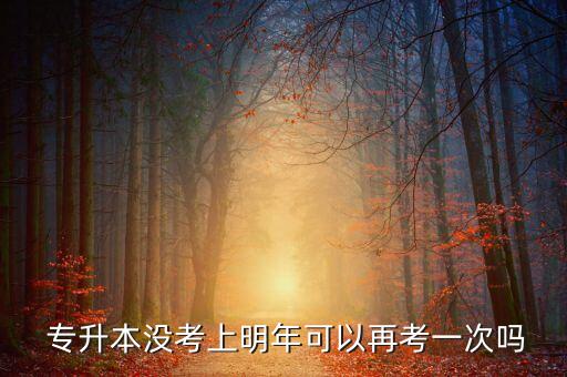 專(zhuān)升本能不能考第二次