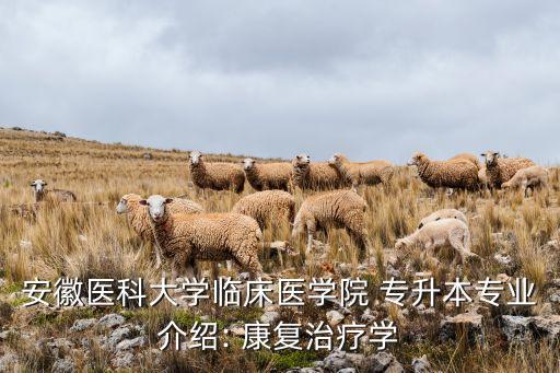 康復(fù)專(zhuān)升本肌肉骨骼康復(fù)學(xué)習(xí)題及答案