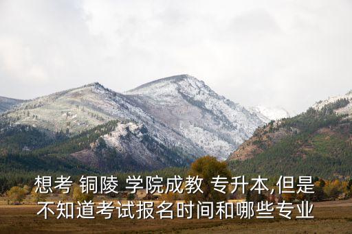 銅陵學院專升本面試
