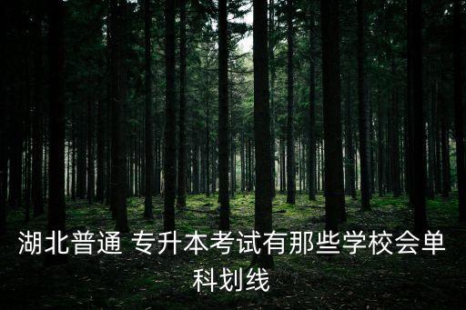 武昌理工學院專升本錄取分數(shù)