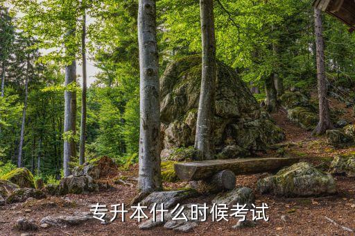  專升本什么時候考試