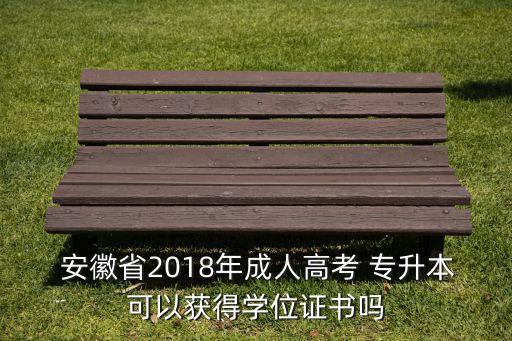  安徽省2018年成人高考 專(zhuān)升本可以獲得學(xué)位證書(shū)嗎
