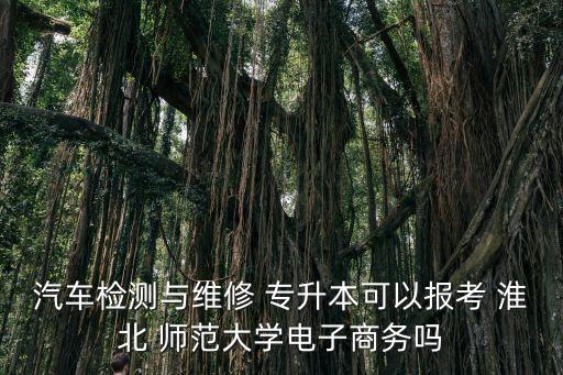 汽車檢測與維修 專升本可以報(bào)考 淮北 師范大學(xué)電子商務(wù)嗎