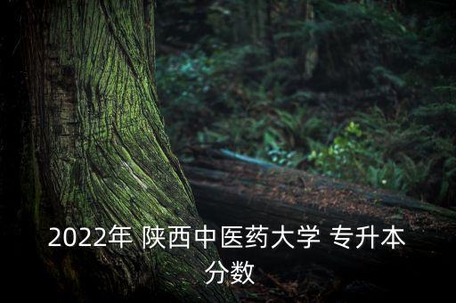 2022年 陜西中醫(yī)藥大學(xué) 專(zhuān)升本 分?jǐn)?shù)
