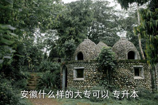  安徽什么樣的大?？梢?專升本