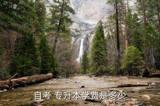網(wǎng)絡教育專升本貴嗎,怎樣看網(wǎng)絡教育專升本