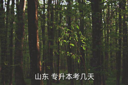  山東 專(zhuān)升本考幾天