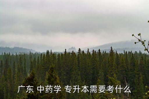 中藥學 專升本
