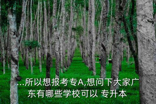 ...所以想報考專A,想問下大家廣東有哪些學(xué)?？梢?專升本