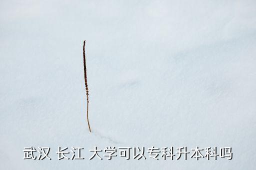 武漢 長(zhǎng)江 大學(xué)可以?？粕究茊? class=