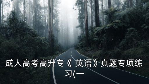 成人高考高升?！?英語》真題專項練習(一