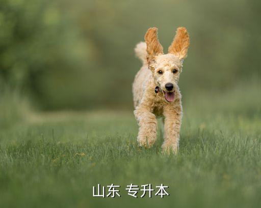 專(zhuān)升本考試科目改革,江西省專(zhuān)升本考試科目