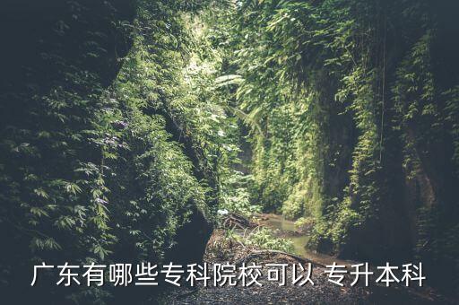 廣東有哪些?？圃盒？梢?專升本科