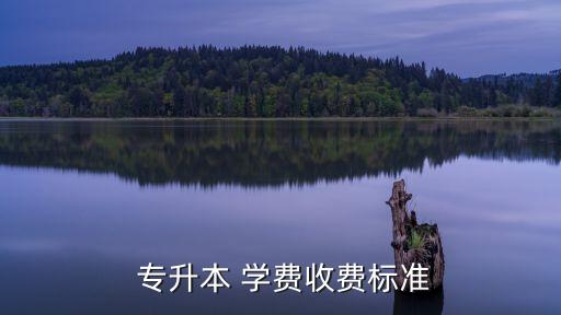 天一專升本學(xué)費(fèi)多少錢