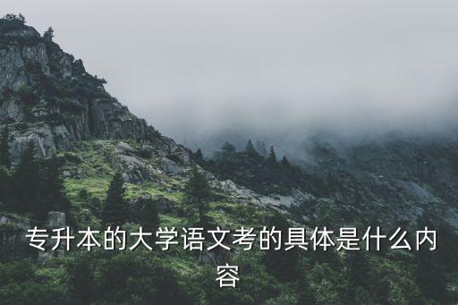  專(zhuān)升本的大學(xué)語(yǔ)文考的具體是什么內(nèi)容