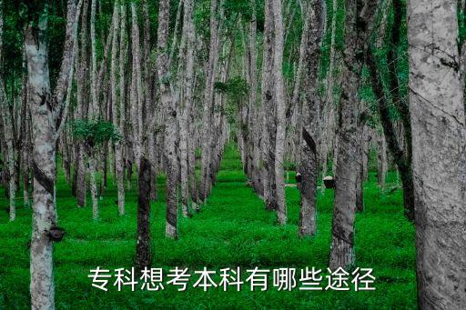 ?？葡肟急究朴心男┩緩? class=