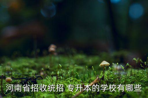 河南省招收統(tǒng)招 專升本的學校有哪些