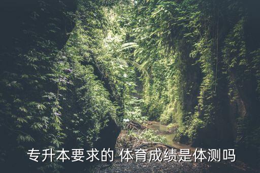  專升本要求的 體育成績是體測嗎