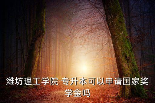 濰坊理工學(xué)院 專升本可以申請國家獎學(xué)金嗎